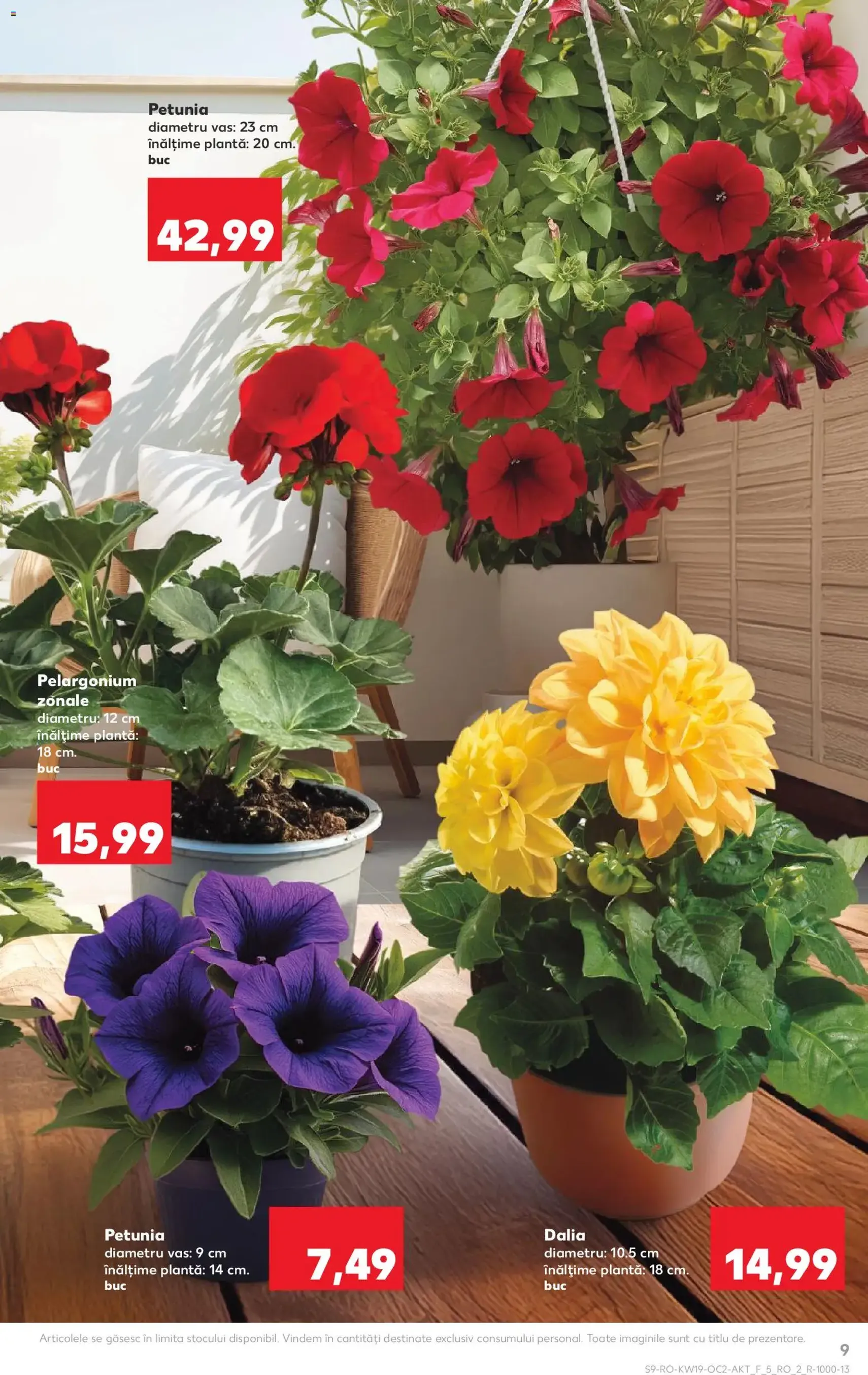 Kaufland Catalog - cataloage valabile începând cu 06.05.2026 pagina 9 din 62