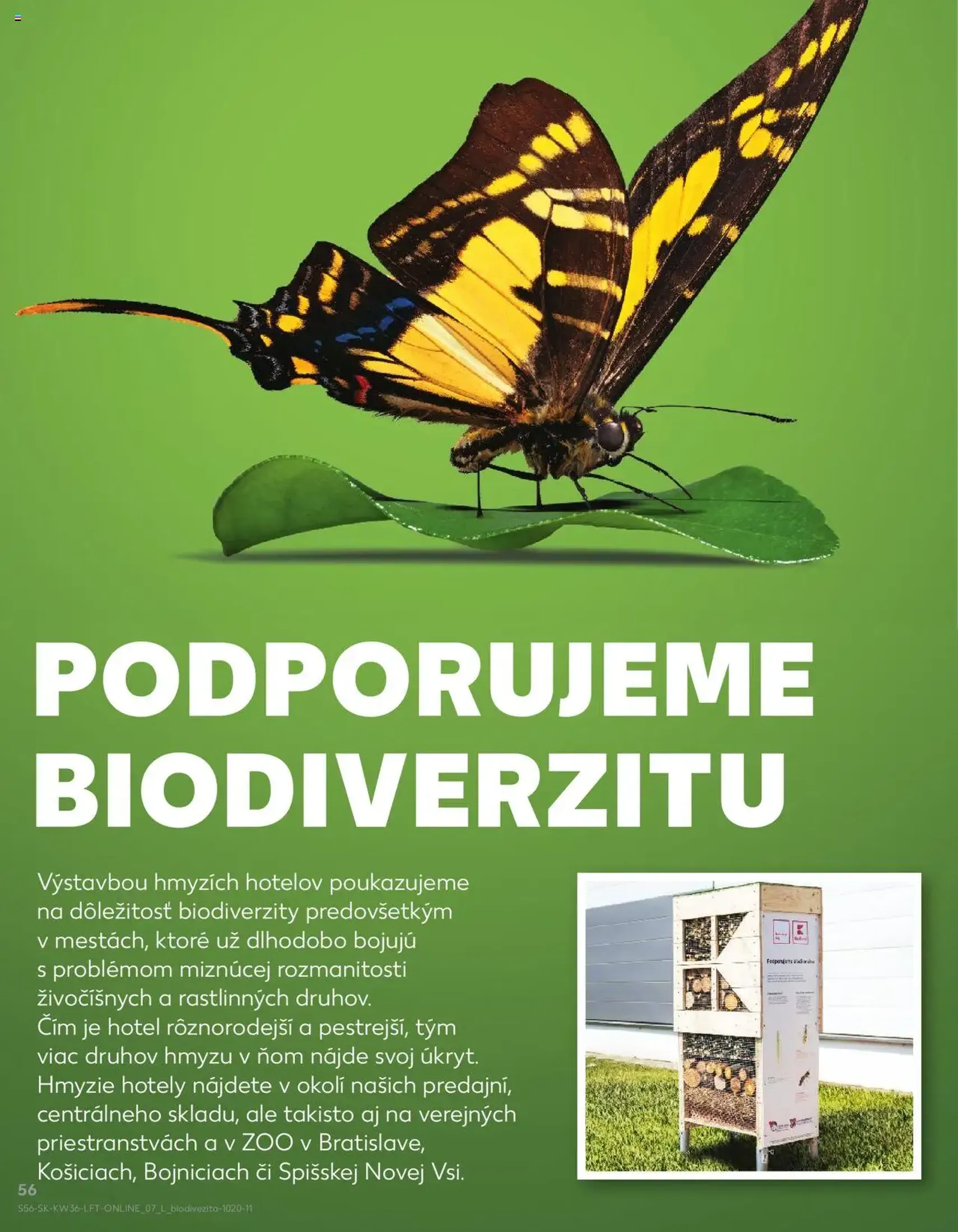 Kaufland Bratislava-Avion - platný leták od 04.09.2025 strana 56 z 76 Kaufland Bratislava-Avion - platný leták od 04.09.2025 strana 56 z 76