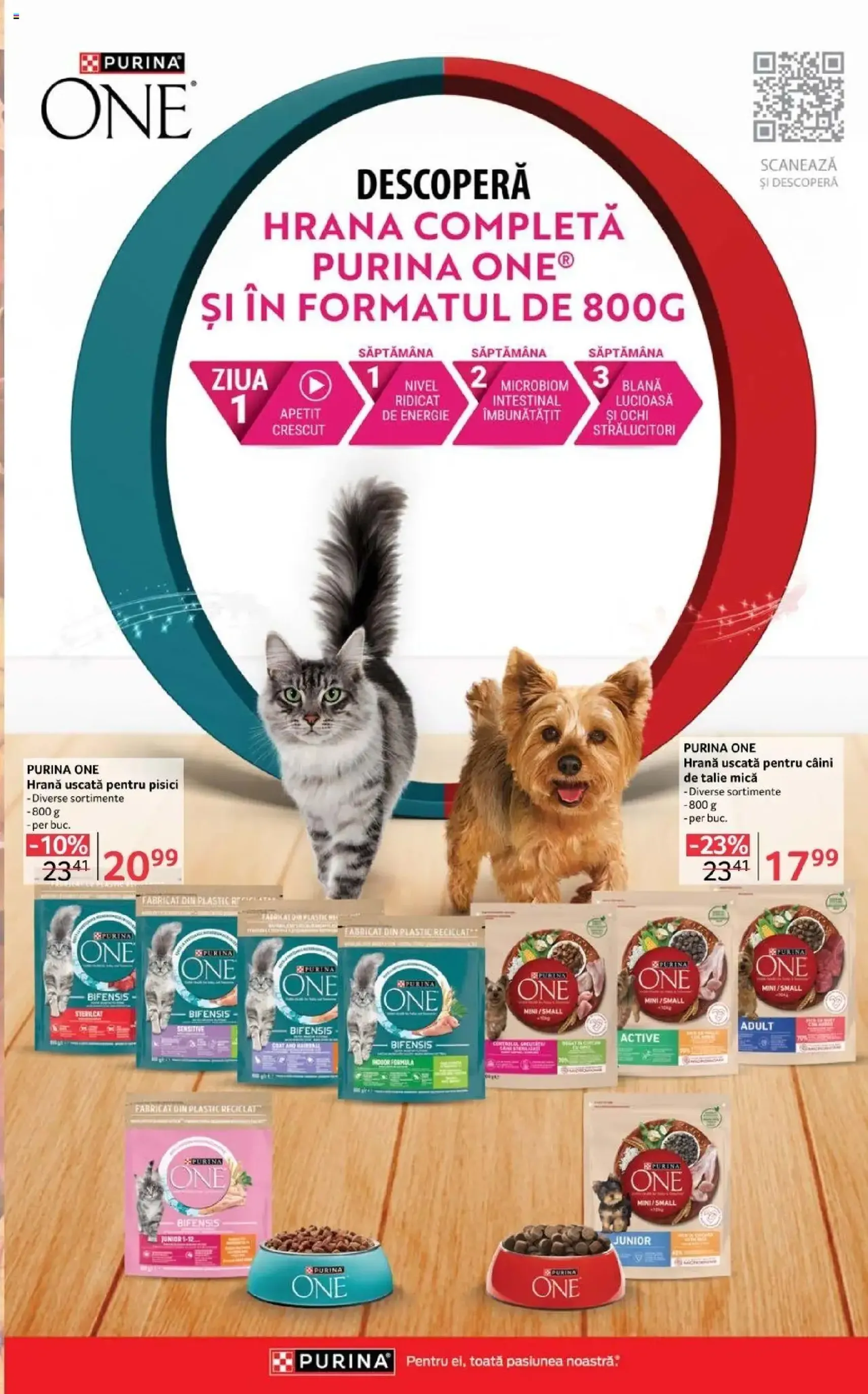 Catalog Selgros - Food - cataloage valabile începând cu 03.10.2025 pagina 29 din 35