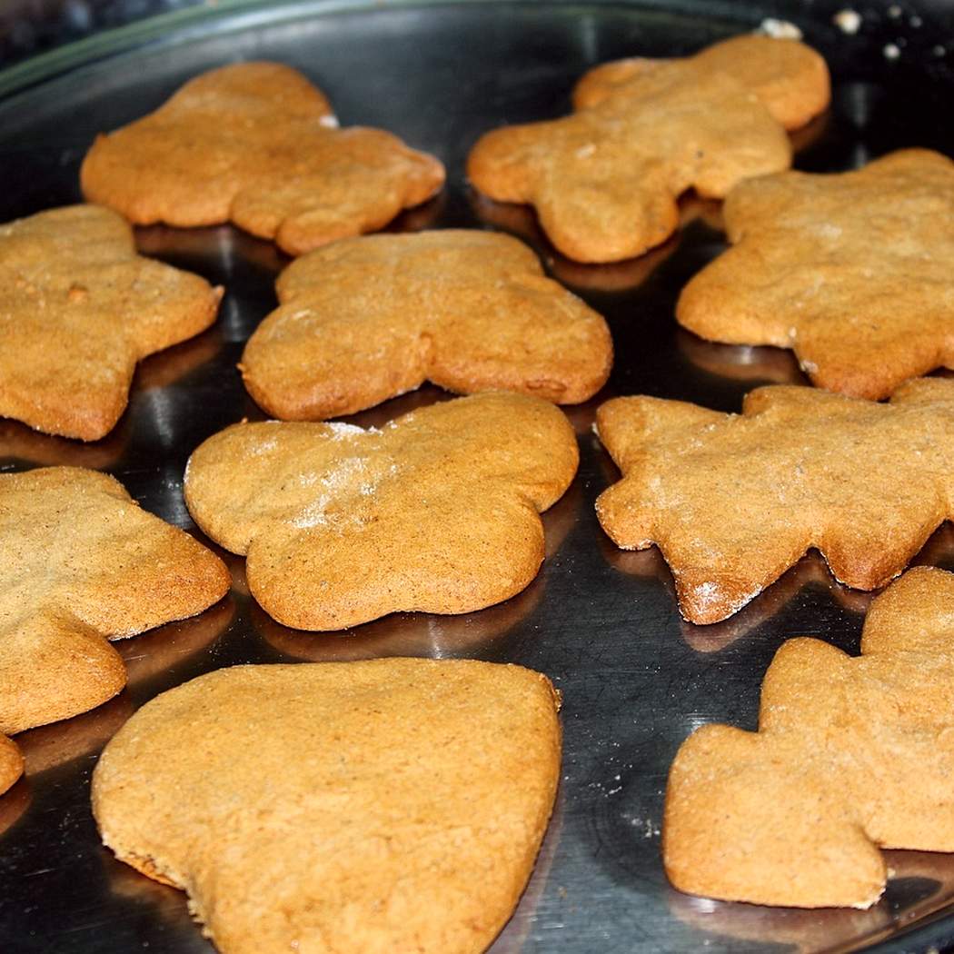 Ricetta facile dei biscotti di pan di zenzero fatti in casa