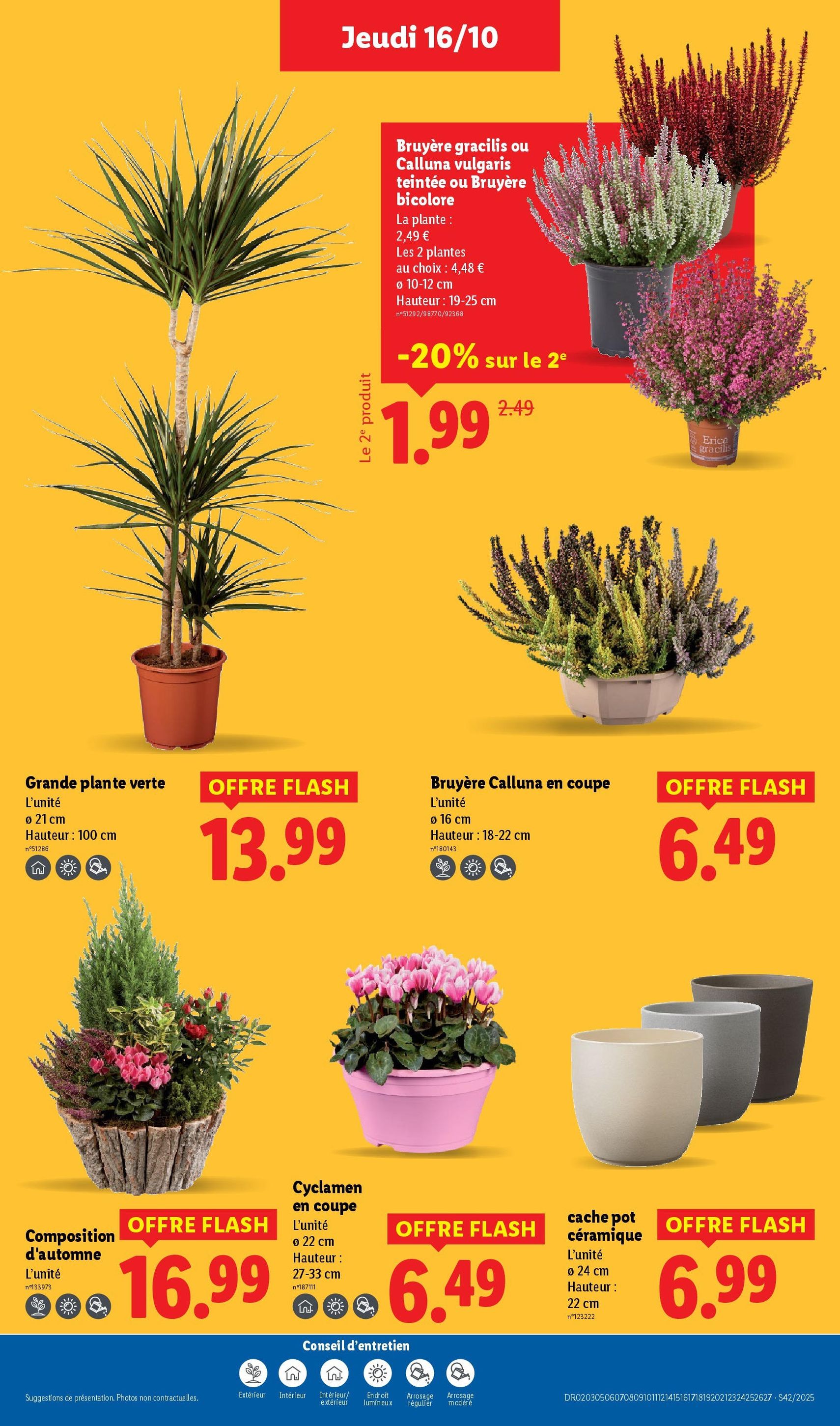 LIDL catalogue semaine 42 - brochure valable à partir du 16/10/2025, page 37 sur 82 LIDL catalogue semaine 42 - brochure valable à partir du 16/10/2025, page 37 sur 82