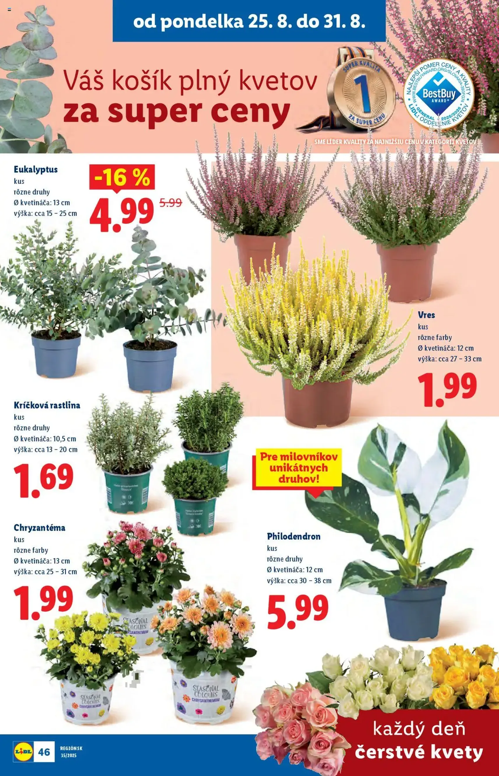 Lidl leták - platný leták od 25.08.2025 strana 60 z 101 Lidl leták - platný leták od 25.08.2025 strana 60 z 101