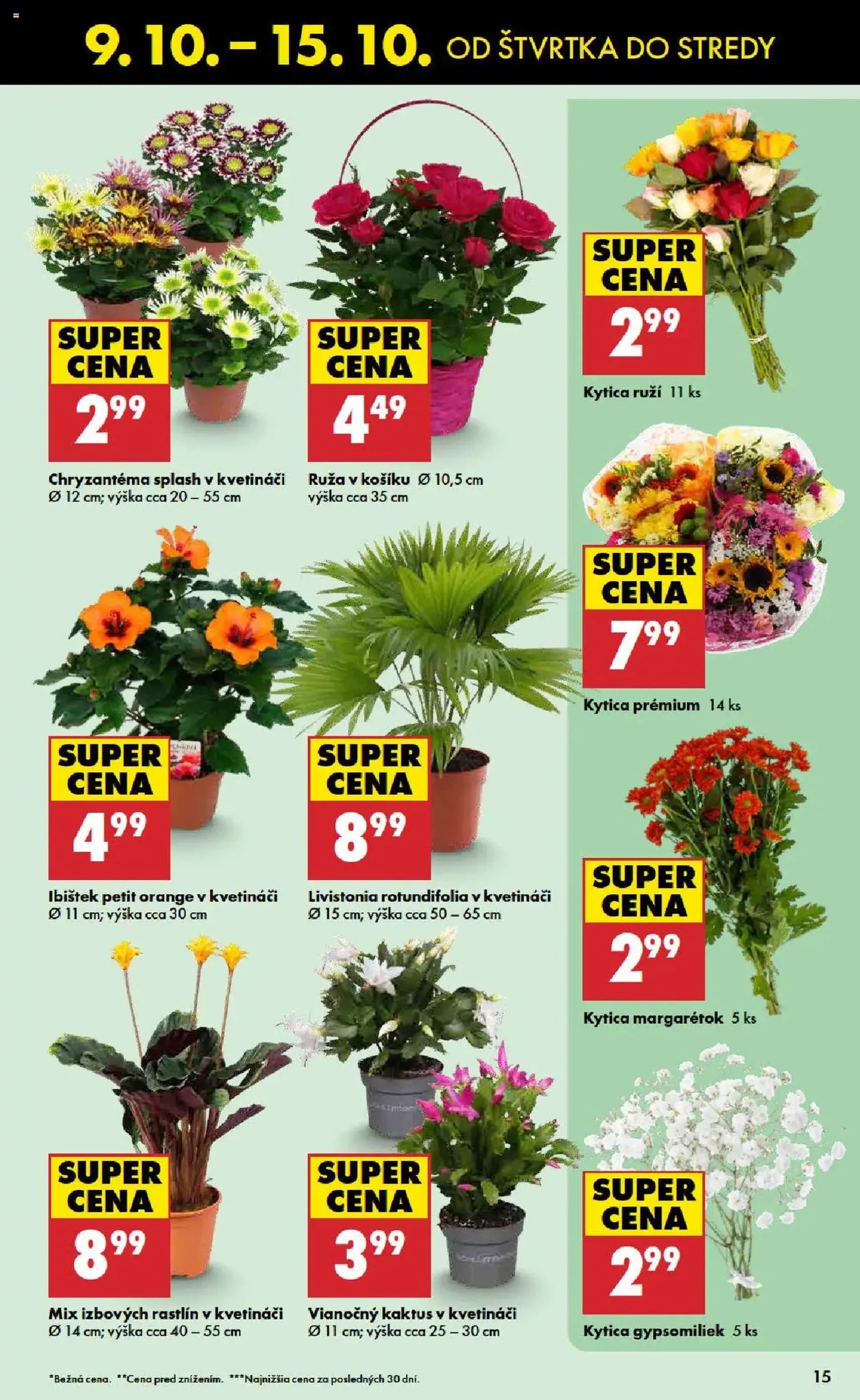 Biedronka leták - platný leták od 09.10.2025 strana 15 z 48
