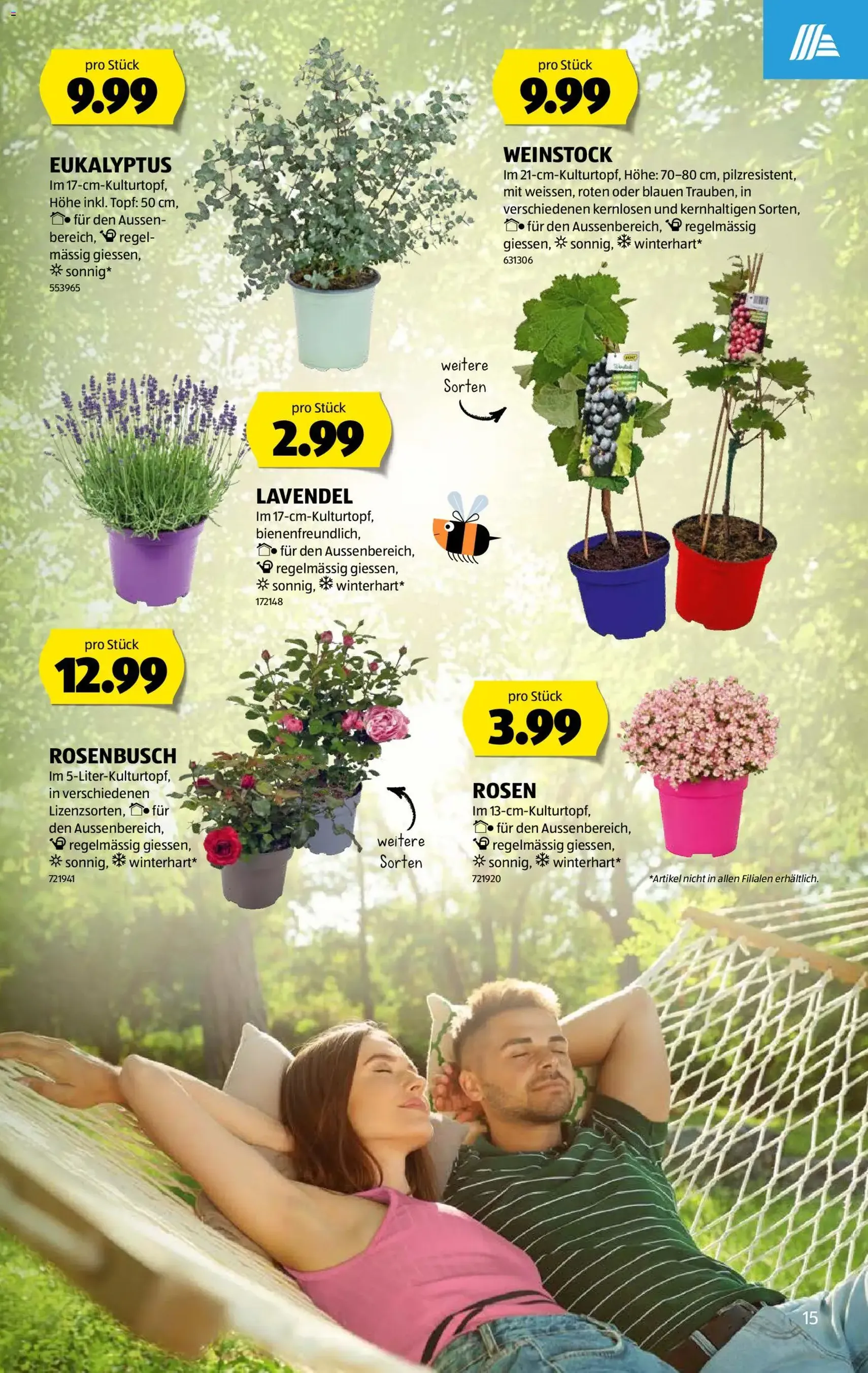 Aldi aktionen - Gültiger Prospekt ab 18.06.2026, Seite 15 von insgesamt 44