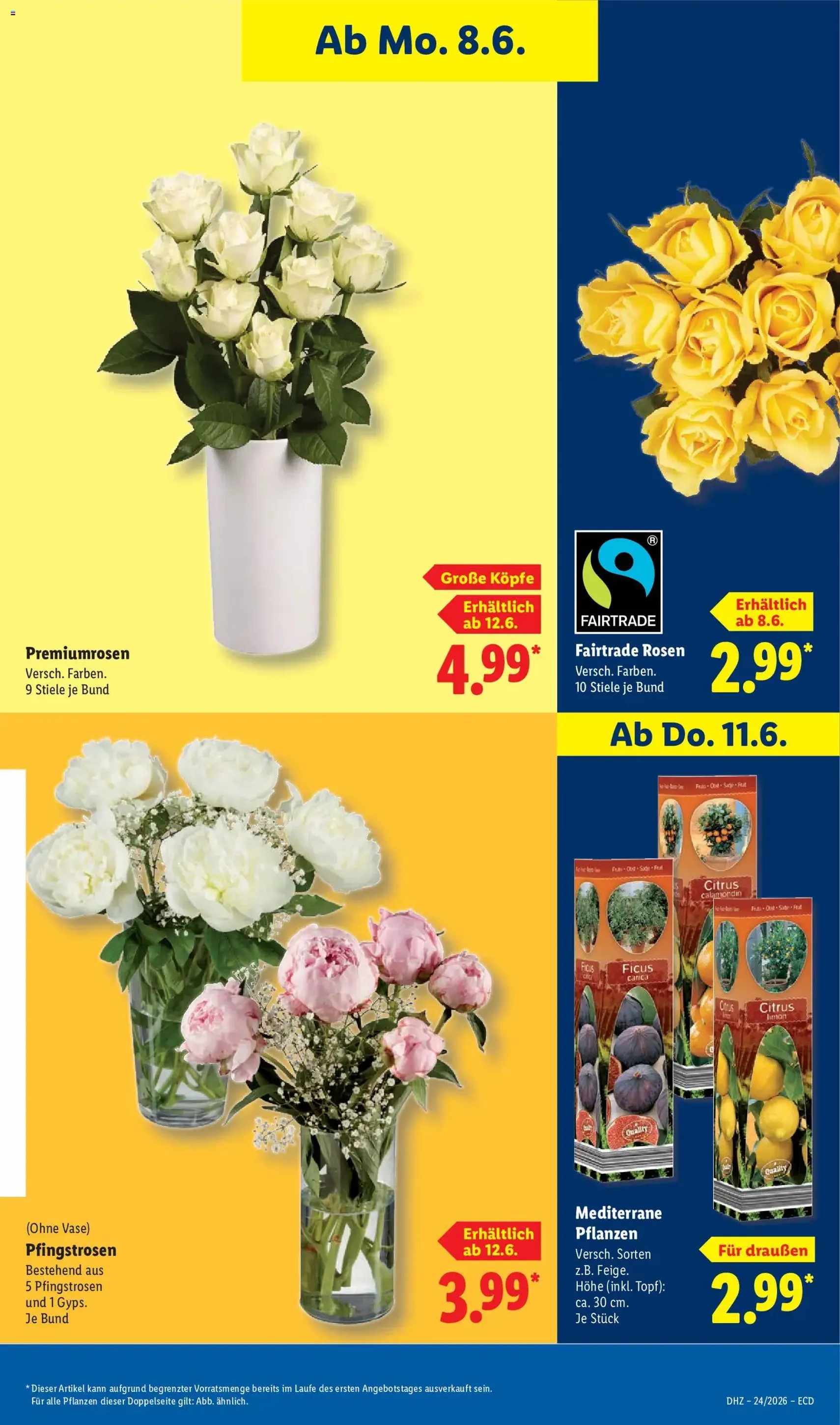 Lidl Prospekt - Gültiger Prospekt ab 08.06.2026, Seite 69 von insgesamt 73