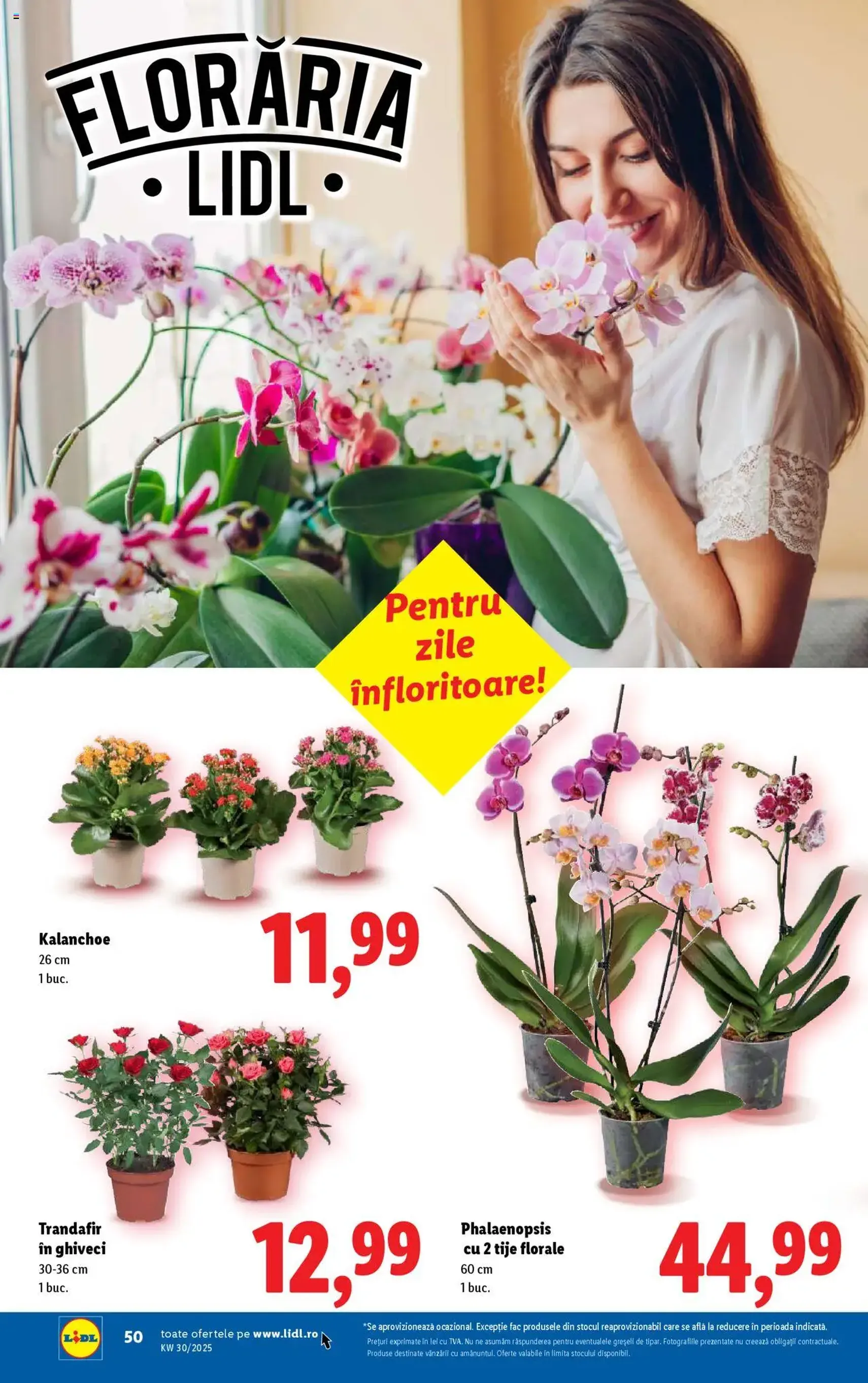Catalog Lidl - cataloage valabile începând cu 21.07.2025 pagina 50 din 74 Catalog Lidl - cataloage valabile începând cu 21.07.2025 pagina 50 din 74