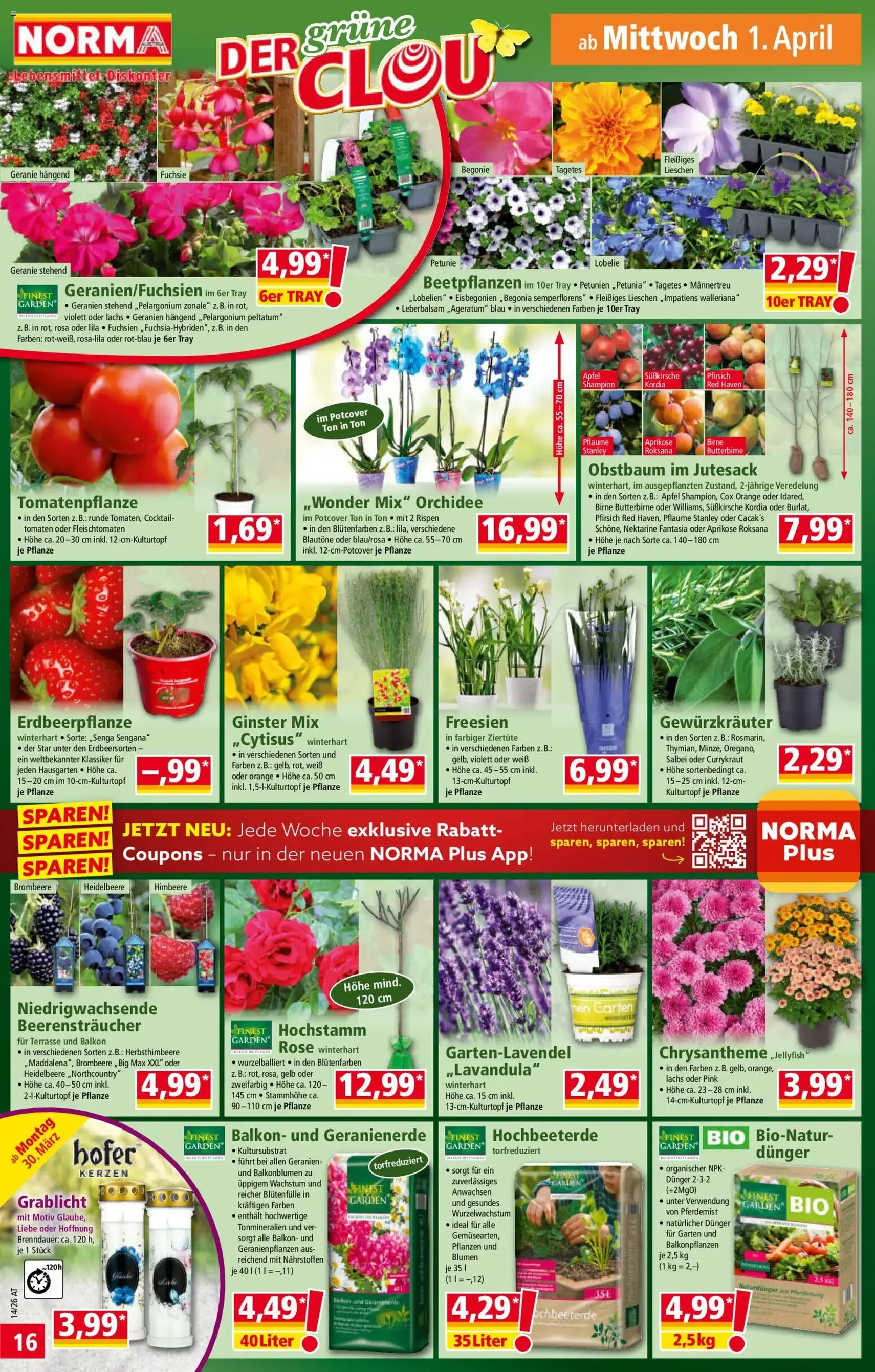 Norma Flugblatt - Gültiger Prospekt ab 30.03.2026, Seite 16 von insgesamt 20