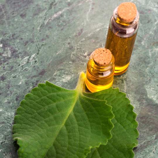 Náhľad receptu Sirup z nádchovníka