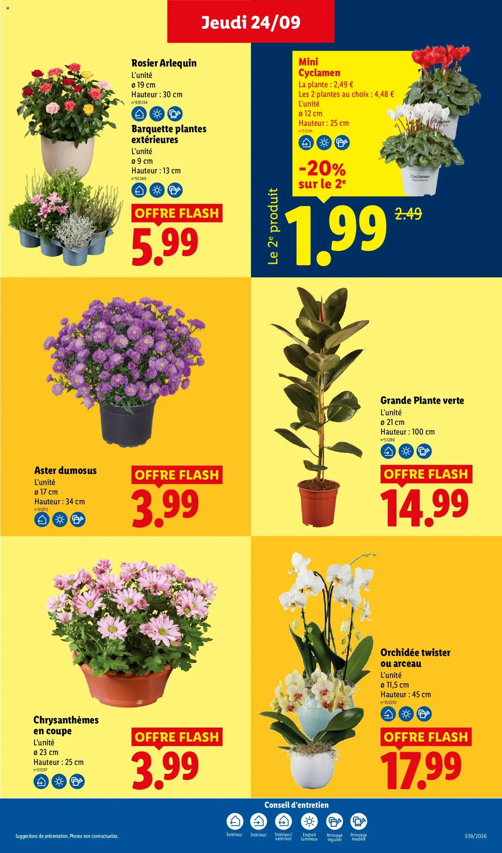 LIDL catalogue - brochure valable à partir du 24/09/2026, page 29 sur 62