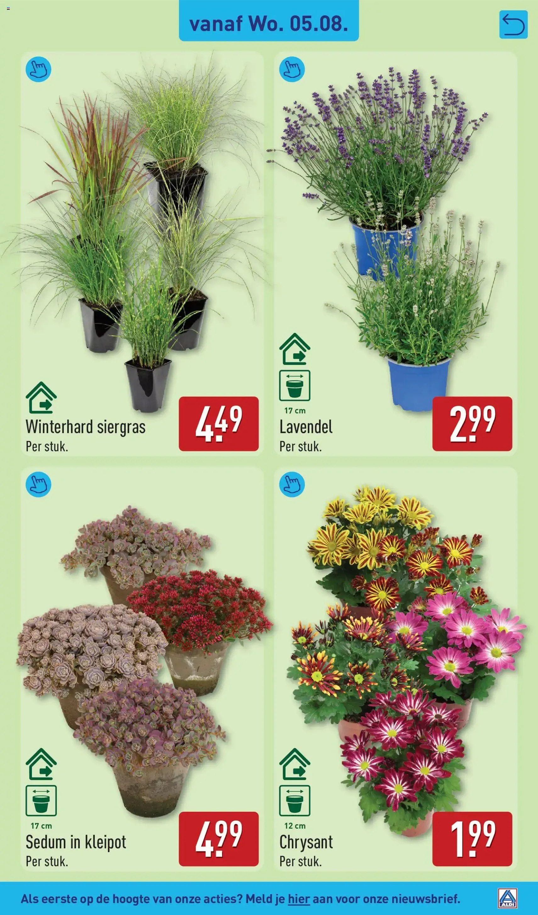 Aldi folder week 32 - geldige folder vanaf 03-08-2026 pagina 31 van 61