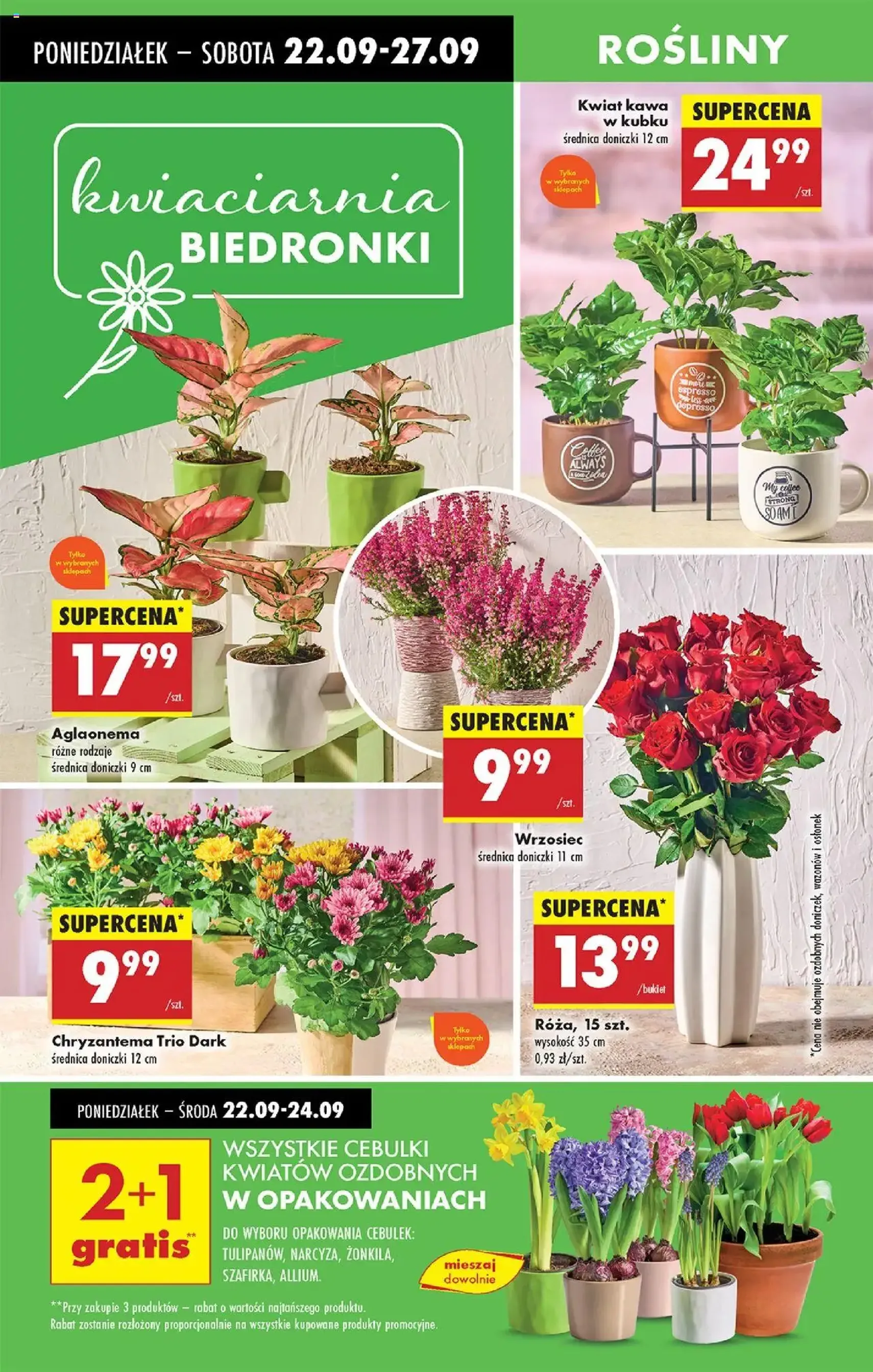 Biedronka gazetka - ważny gazetka od 22.09.2025 strona 68 z 84 Biedronka gazetka - ważny gazetka od 22.09.2025 strona 68 z 84