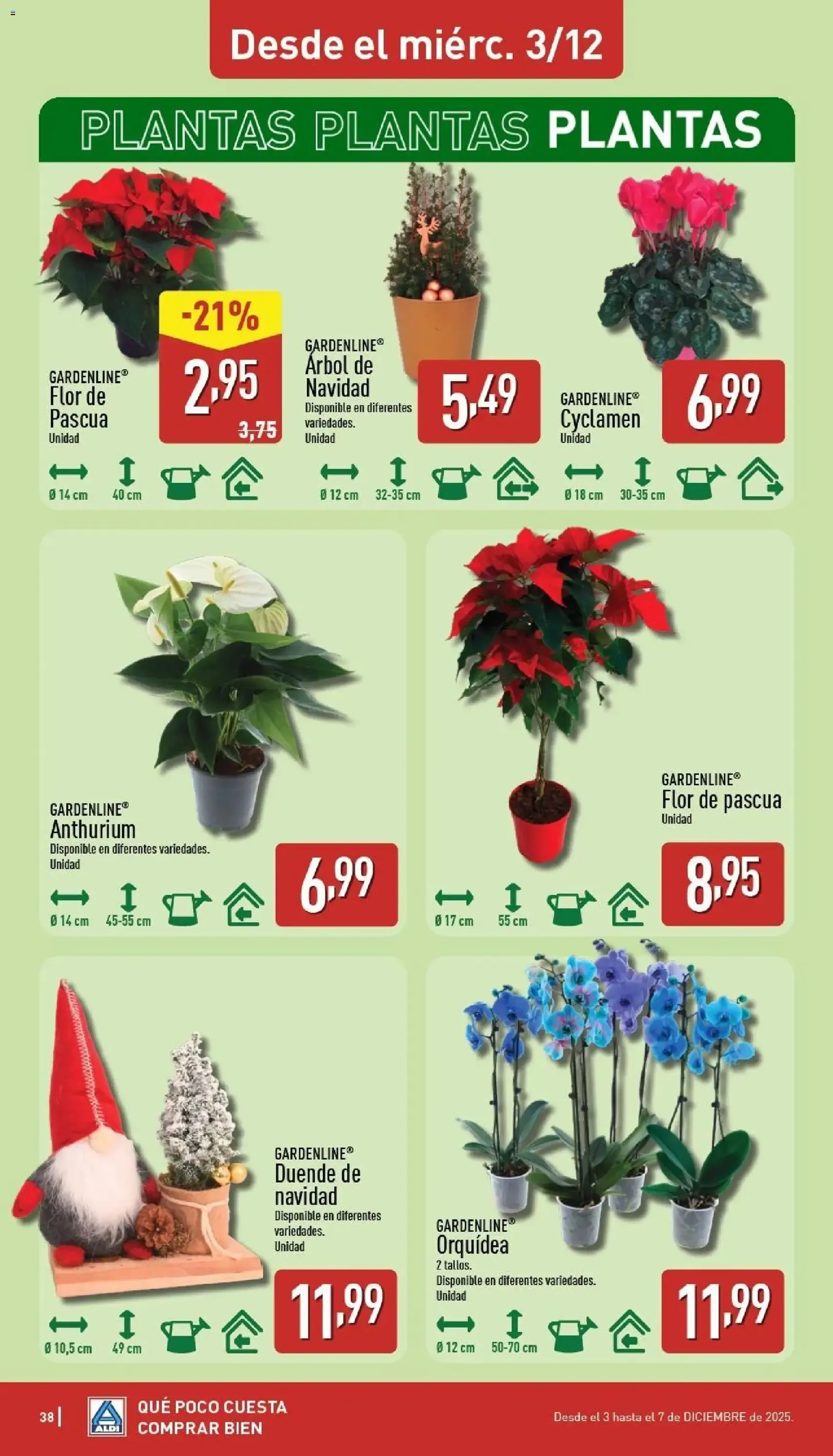 Aldi folleto Península - folleto válido desde 01/12/2025 página 38 de 50