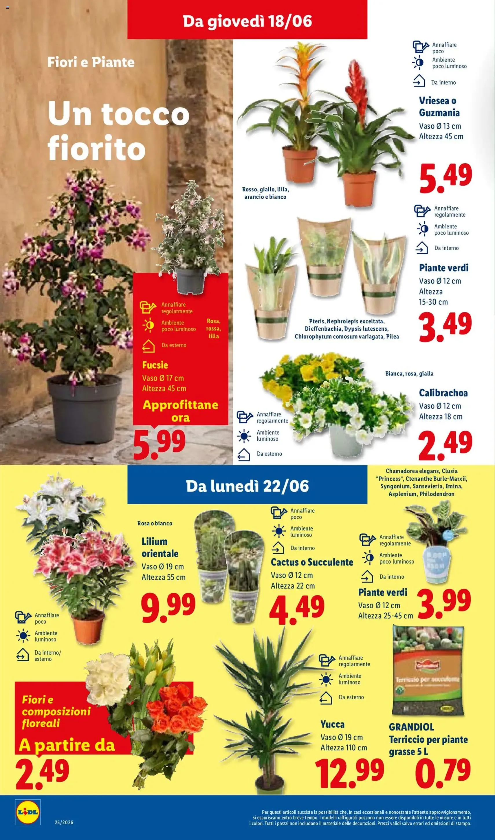 Lidl volantino - volantino valido dal 18/06/2026 pagina 32 di 51