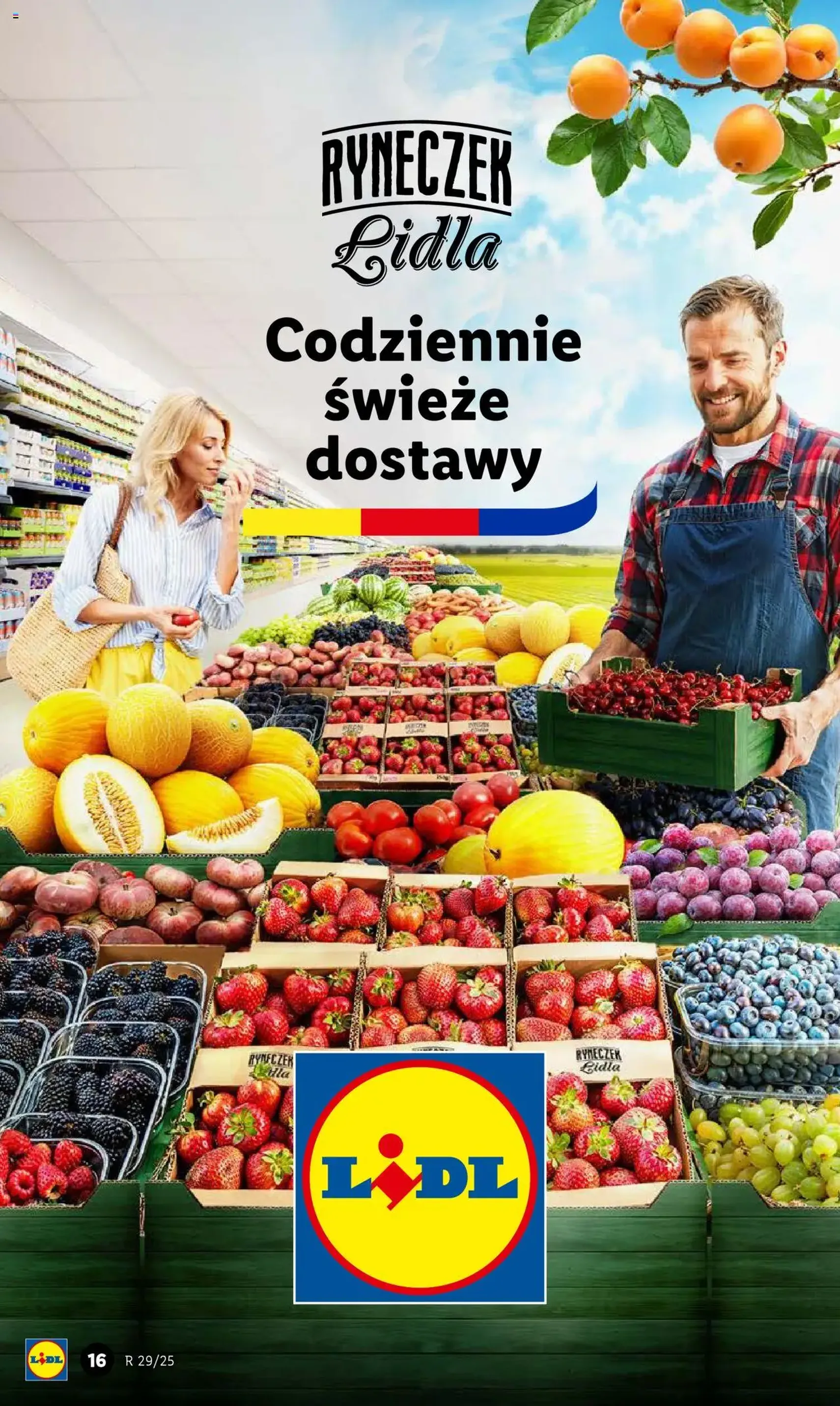 Lidl Gazetka - ważny gazetka od 17.07.2025 strona 18 z 62 Lidl Gazetka - ważny gazetka od 17.07.2025 strona 18 z 62