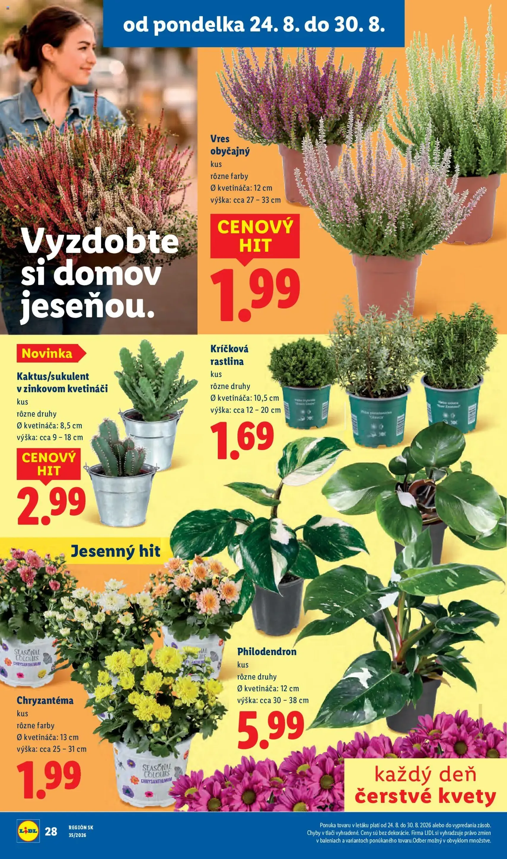 Lidl leták - platný leták od 24.08.2026 strana 51 z 99
