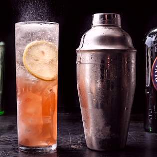 Recipe preview Sloe Gin Fizz