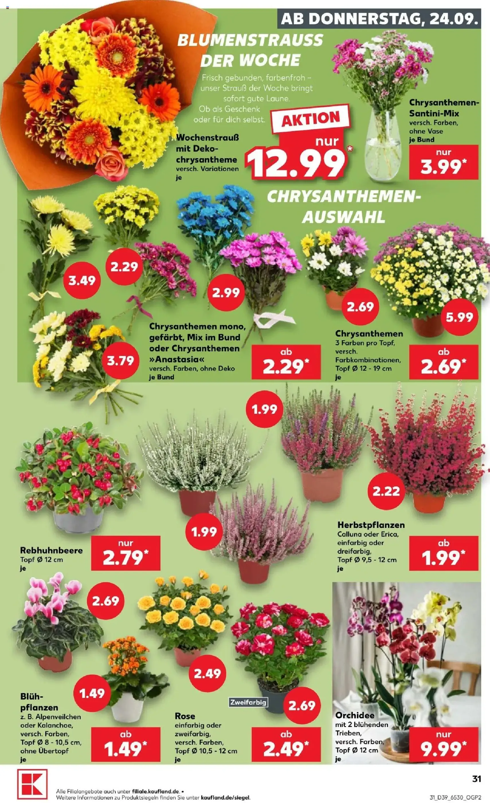 Kaufland Prospekt - Gültiger Prospekt ab 24.09.2026, Seite 31 von insgesamt 72