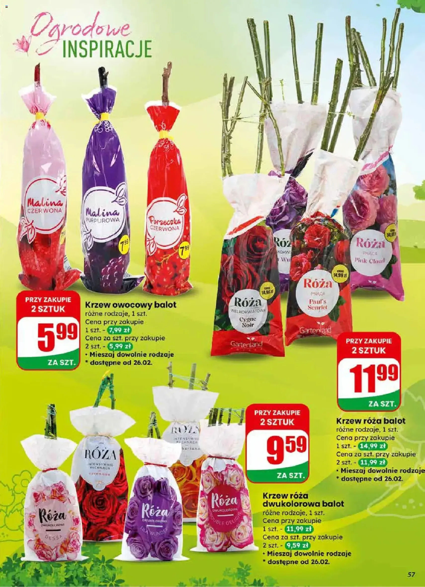 Dino Gazetka - ważny gazetka od 25.02.2026 strona 57 z 75